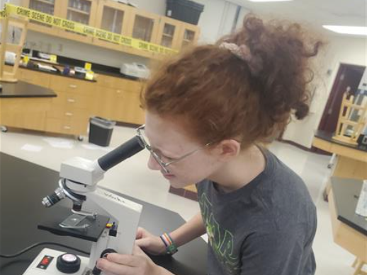 microscope